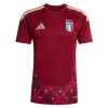 Italia Maalivahti Koti Mm-Kisat 2026 Punainen - Jalkapallo Pelipaidat (S/S) Italia Maalivahti Koti Mm-Kisat 2026 Punainen - Jalkapallo Pelipaidat (S/S)